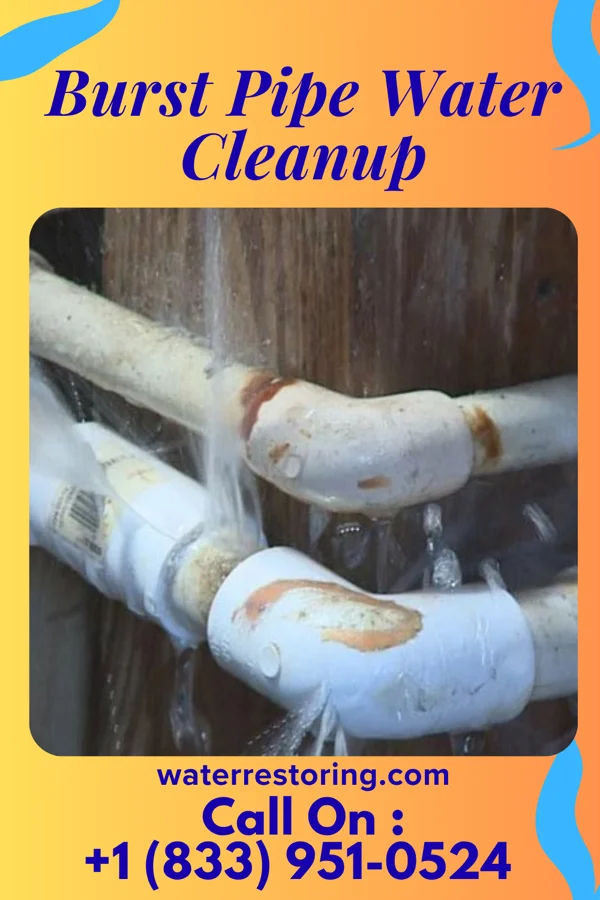 Burst Pipe Water Cleanup in Orlinda, TN