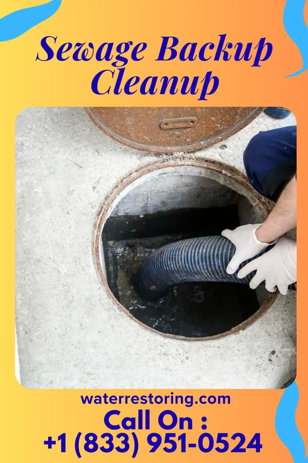 Sewage Backup Cleanup in Orlinda, TN