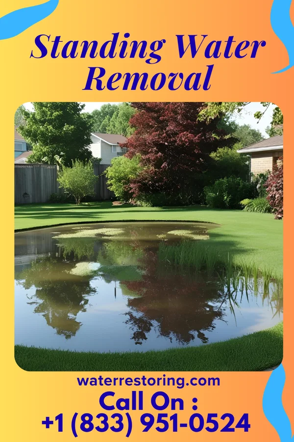 Standing Water Removal in Orlinda, TN